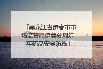 黑龙江省伊春市市场监管局伊美分局筑牢药品安全防线