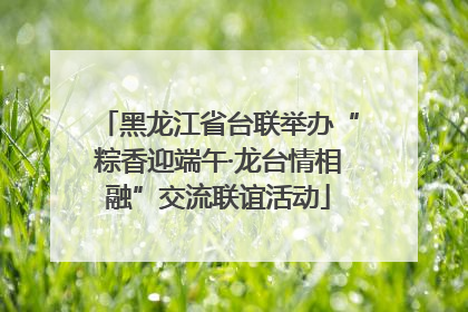 黑龙江省台联举办“粽香迎端午·龙台情相融”交流联谊活动
