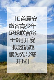 ﻿首届安徽省青少年足球联赛将于9月开赛 拟邀请赵鹏为先导赛开球