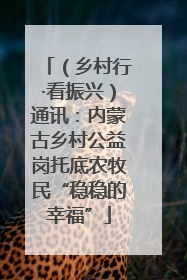 （乡村行·看振兴）通讯：内蒙古乡村公益岗托底农牧民“稳稳的幸福”