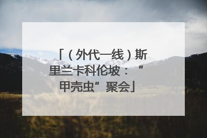 （外代一线）斯里兰卡科伦坡：“甲壳虫”聚会