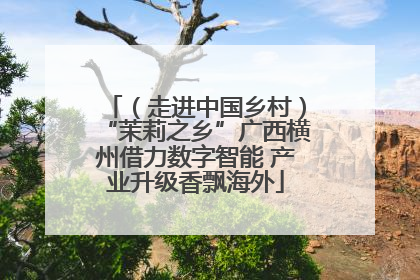 （走进中国乡村）“茉莉之乡”广西横州借力数字智能 产业升级香飘海外