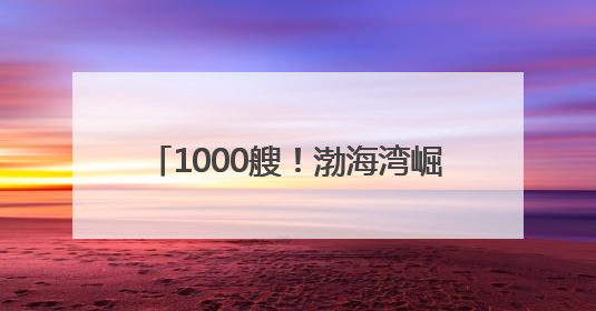 1000艘！渤海湾崛起世界级船舶租赁中心 促进全球贸易流动