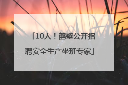 10人！鹤壁公开招聘安全生产坐班专家