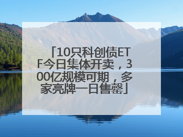10只科创债ETF今日集体开卖，300亿规模可期，多家亮牌一日售罄