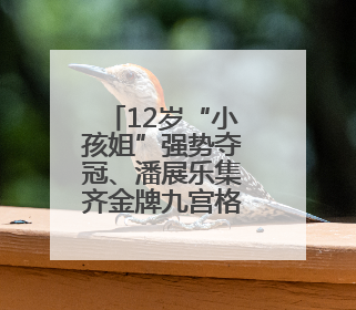 12岁“小孩姐”强势夺冠、潘展乐集齐金牌九宫格 泳坛名场面别错过