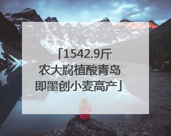 1542.9斤 农大腐植酸青岛即墨创小麦高产
