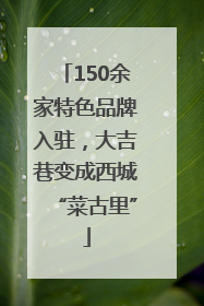150余家特色品牌入驻,大吉巷变成西城“菜古里”