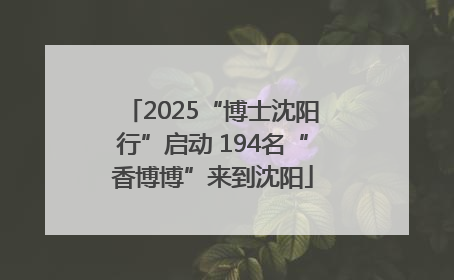 2025“博士沈阳行”启动 194名“香博博”来到沈阳