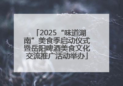 2025“味道湖南”美食季启动仪式暨岳阳啤酒美食文化交流推广活动举办