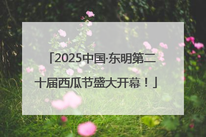 2025中国·东明第二十届西瓜节盛大开幕！