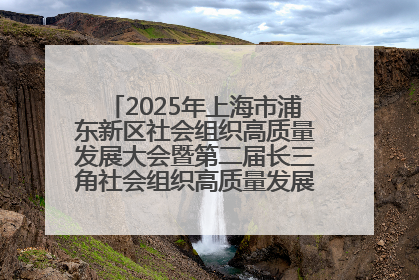 2025年上海市浦东新区社会组织高质量发展大会暨第二届长三角社会组织高质量发展峰会成功举办