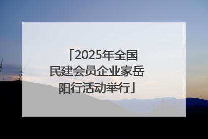 2025年全国民建会员企业家岳阳行活动举行