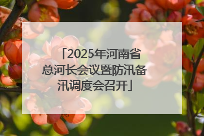 2025年河南省总河长会议暨防汛备汛调度会召开