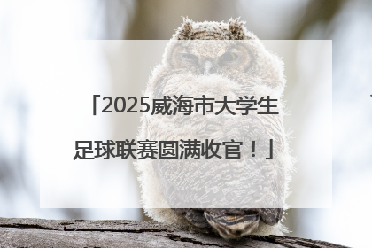 2025威海市大学生足球联赛圆满收官！
