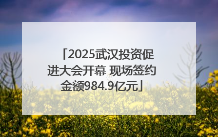 2025武汉投资促进大会开幕 现场签约金额984.9亿元