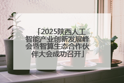 2025陕西人工智能产业创新发展峰会暨智算生态合作伙伴大会成功召开