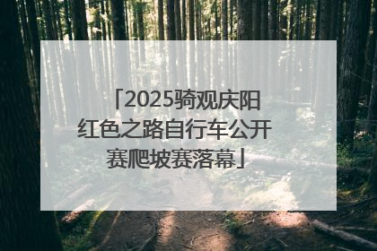 2025骑观庆阳红色之路自行车公开赛爬坡赛落幕