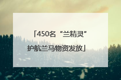 450名“兰精灵”护航兰马物资发放