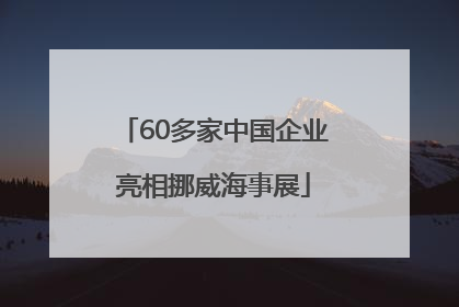 60多家中国企业亮相挪威海事展