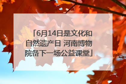 6月14日是文化和自然遗产日 河南博物院备下一场公益课堂
