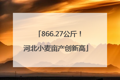 866.27公斤！河北小麦亩产创新高