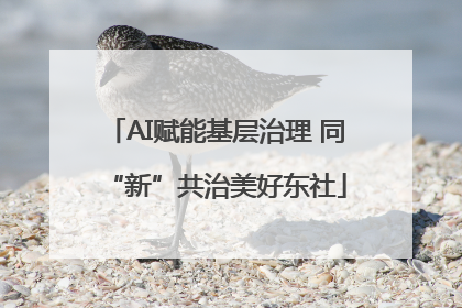 AI赋能基层治理 同“新”共治美好东社